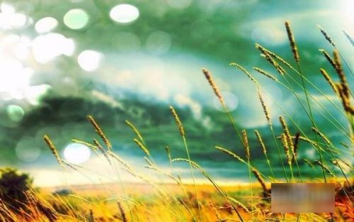 新手如何增加微信好友数量