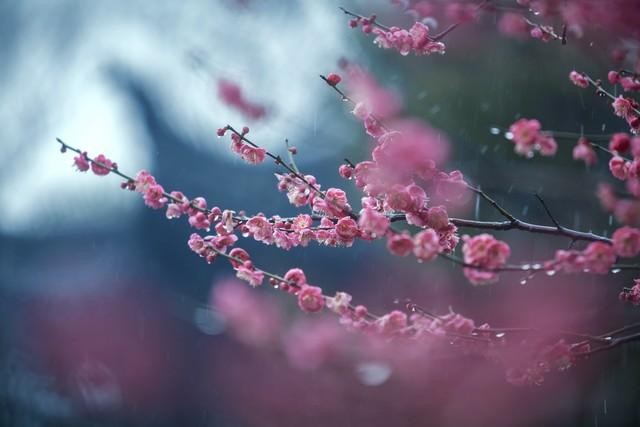 查看自己的快手账号是否被别人登录过的方法