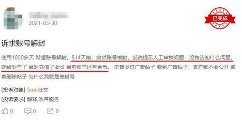 合伙人恶意举报对手平台频现杀猪盘Soul何以守护灵魂社交招牌