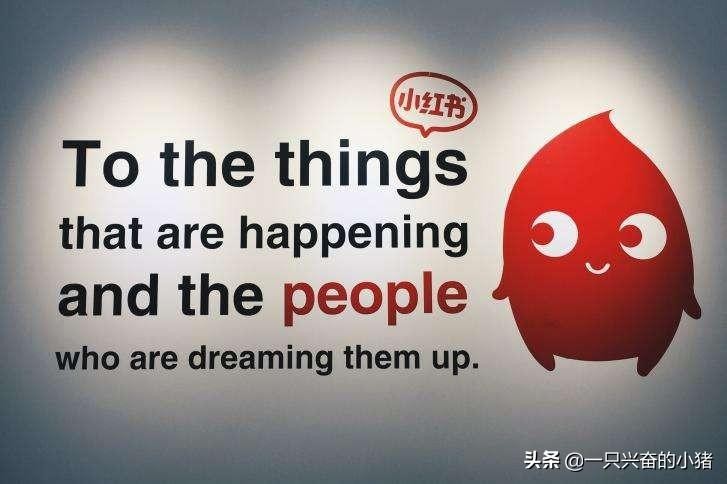 如何快速打造高质量的小红书达人账号