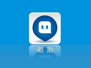 微信QQ旺旺钉钉陌陌这些聊天软件你更看好谁