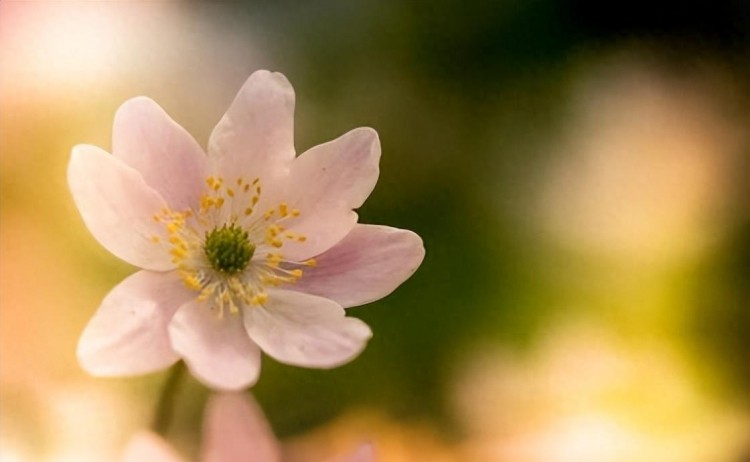 微信爱情大揭秘：谁最关注你的一举一动！